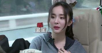 娱乐圈之撩,明星们的甜蜜诱惑与情感纠葛