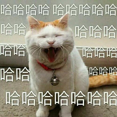 张嘴大笑的暴走表情包,张嘴大笑暴走表情包的疯狂魅力