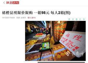 励志网红品质,铸就励志网红品质传奇