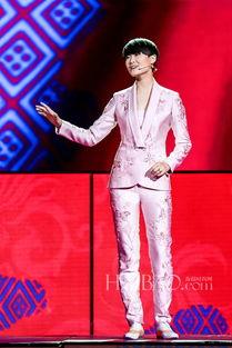 2015春晚明星,璀璨星光下的精彩瞬间