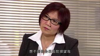 八卦神探9,揭秘神秘八卦，探寻真相之谜