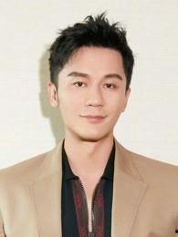 李晨简历个人资料简,影视演员、歌手的多面人生掠影