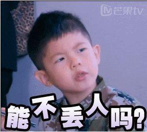 宋家表情包,趣味横生的网络文化现象