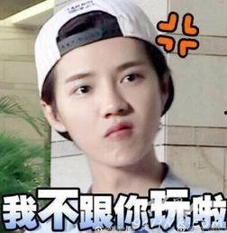 鹿晗学霸表情包